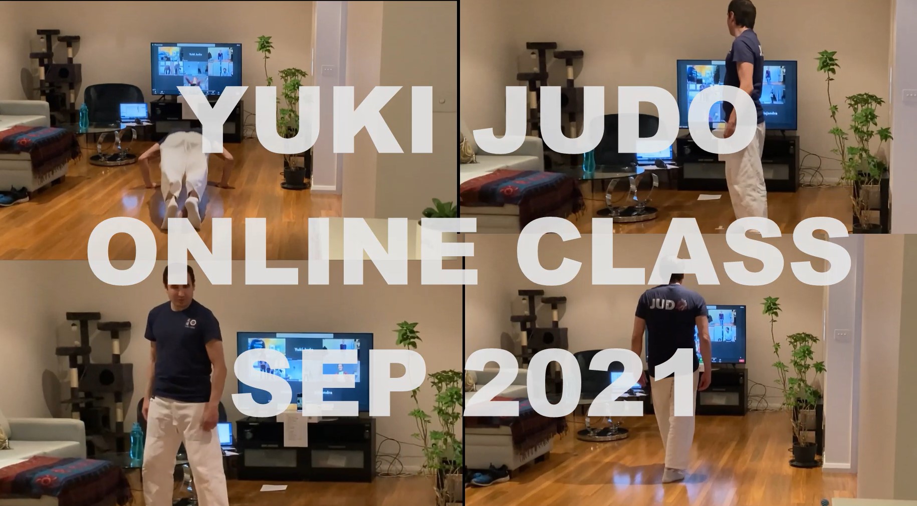 Online Judo
